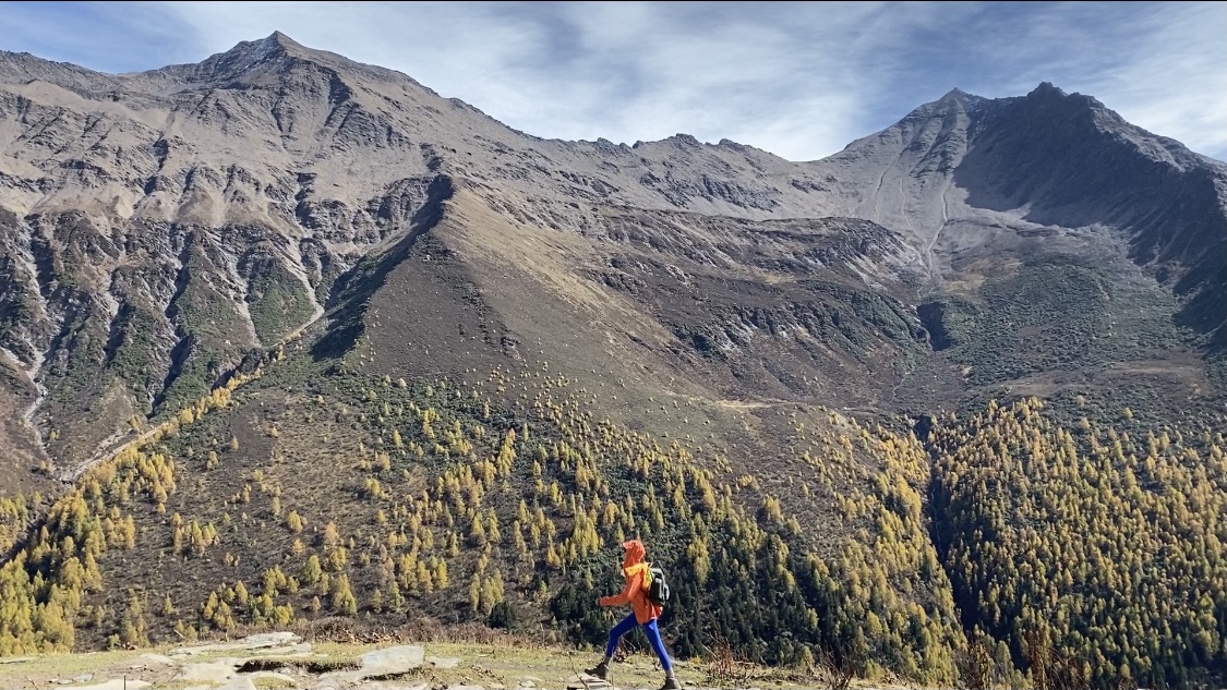 ks业务自助下单平台网站